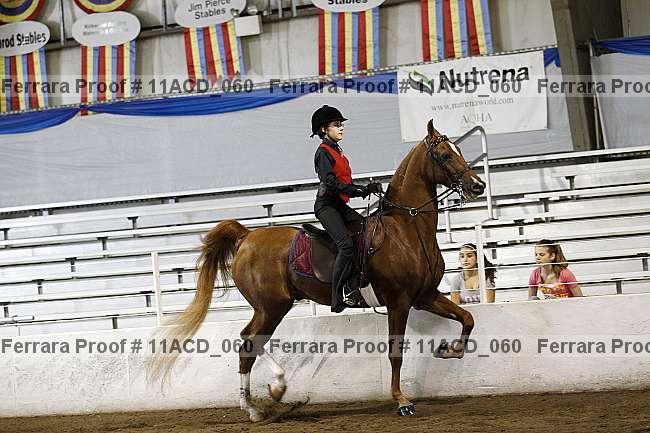 Proof 11acd_060
