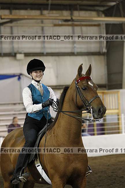 Proof 11acd_061