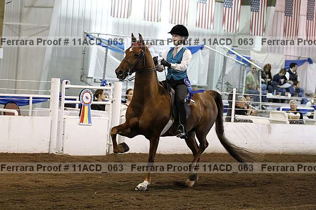Proof 11acd_063