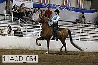 11acd_064 proof