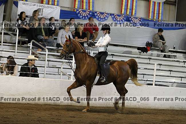 Proof 11acd_066