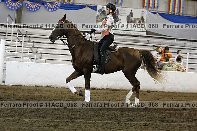 Proof 11acd_068