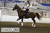 11acd_068 proof