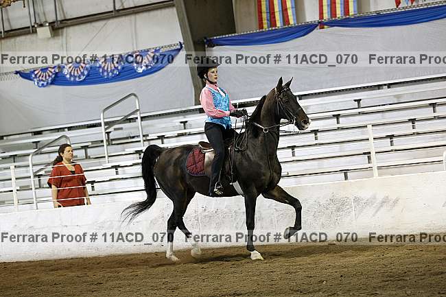 Proof 11acd_070