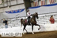 11acd_071 proof