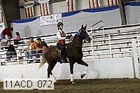 11acd_072 proof