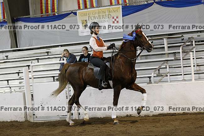 Proof 11acd_073