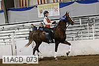 11acd_073 proof