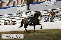 11acd_081 proof