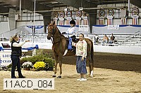 11acd_084 proof