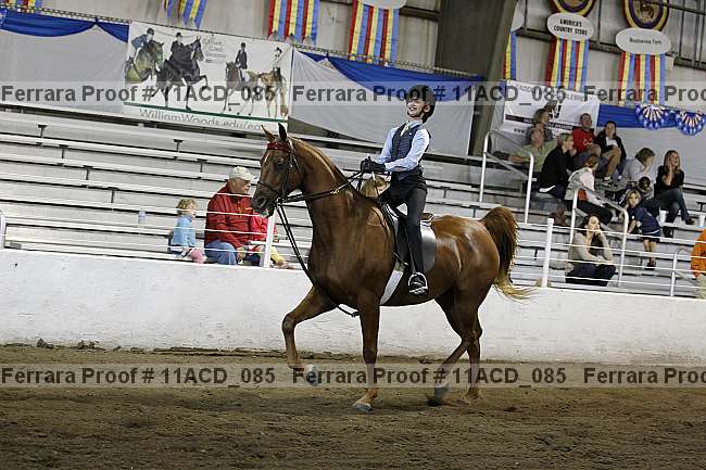 Proof 11acd_085