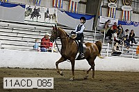 11acd_085 proof