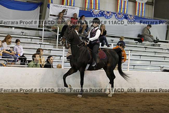 Proof 11acd_086
