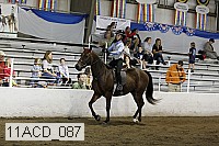 11acd_087 proof
