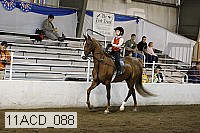 11acd_088 proof