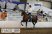 11acd_089 proof