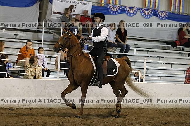 Proof 11acd_096