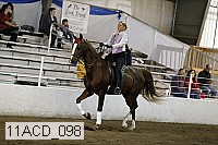 11acd_098 proof