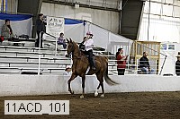 11acd_101 proof
