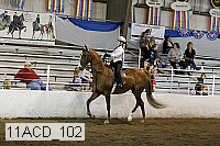 11acd_102 proof
