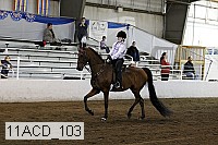 11acd_103 proof