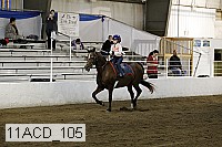 11acd_105 proof