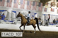 11acd_107 proof