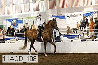 11acd_108 proof