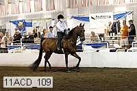 11acd_109 proof