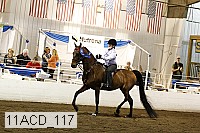 11acd_117 proof