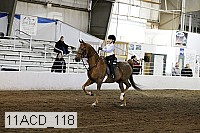 11acd_118 proof