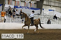 11acd_119 proof