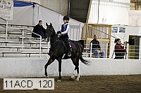 11acd_120 proof