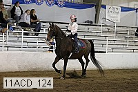 11acd_124 proof