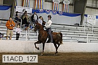 11acd_127 proof