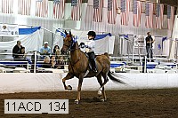 11acd_134 proof