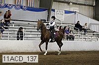 11acd_137 proof