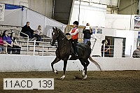 11acd_139 proof