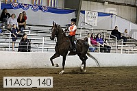 11acd_140 proof