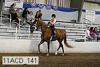 11acd_141 proof