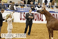 11usn_27803 proof