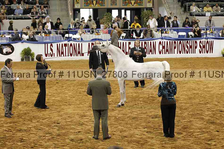 Proof 11usn_27808