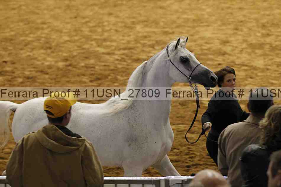 Proof 11usn_27809