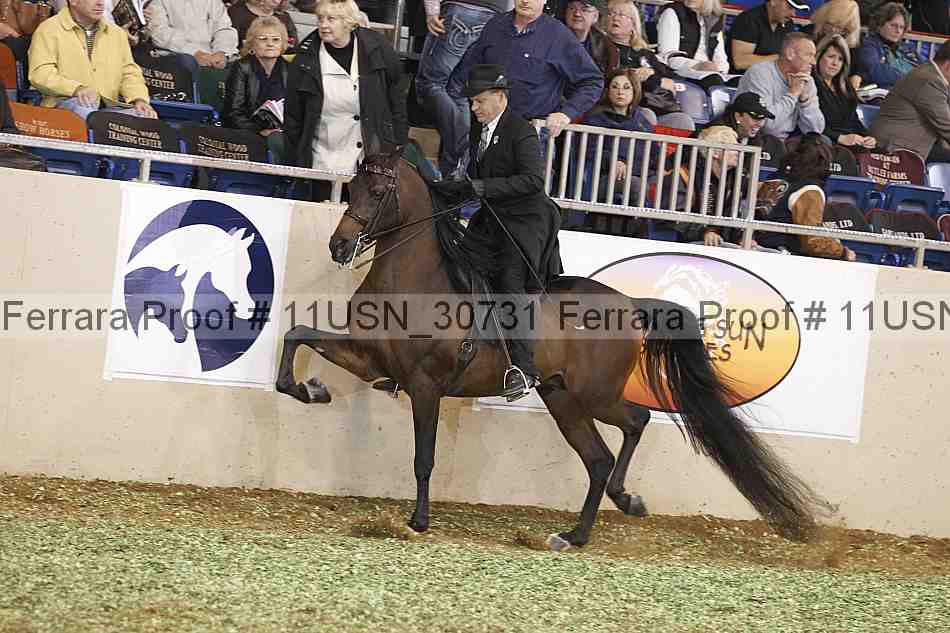 Proof 11usn_30731