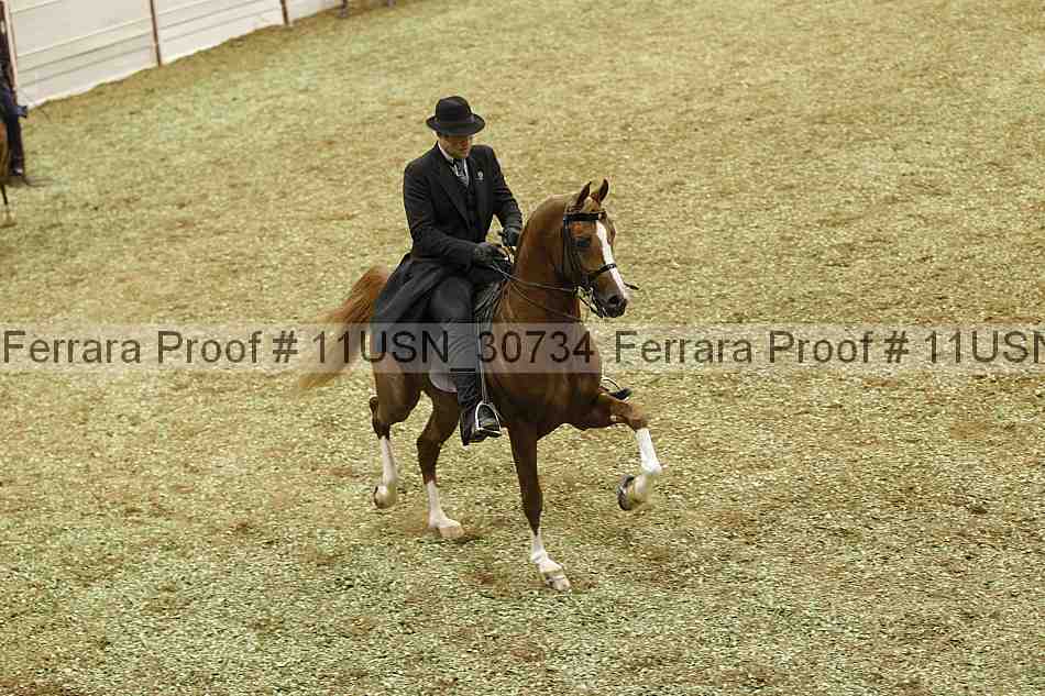 Proof 11usn_30734