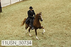 11usn_30734 proof