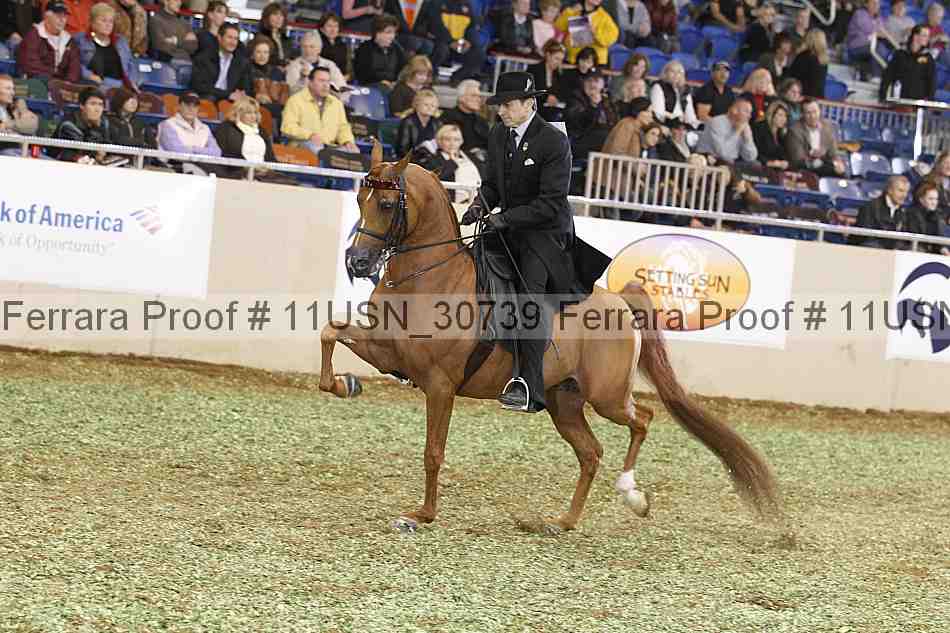 Proof 11usn_30739