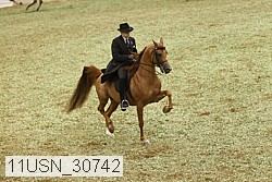 11usn_30742 proof