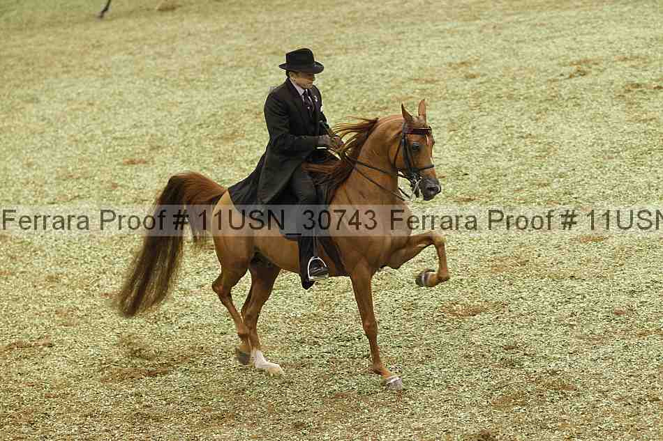 Proof 11usn_30743