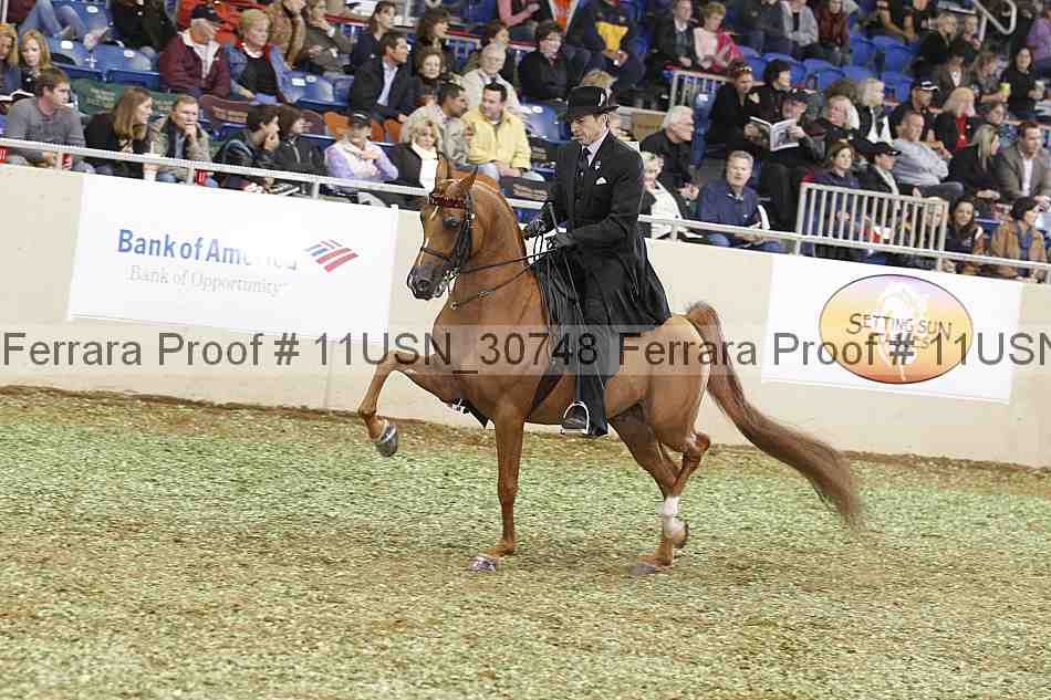 Proof 11usn_30748